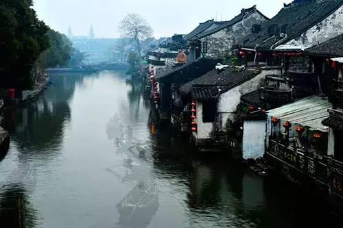 哈尔滨动物火出圈，白狐太累，羊驼调皮，我却笑死在网友评论区里